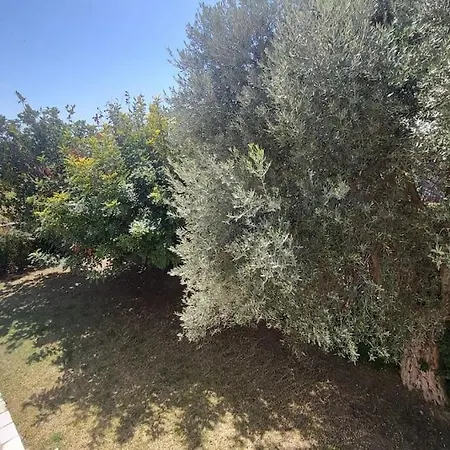 Βίλα Χαρά Erétria Buitenkant foto