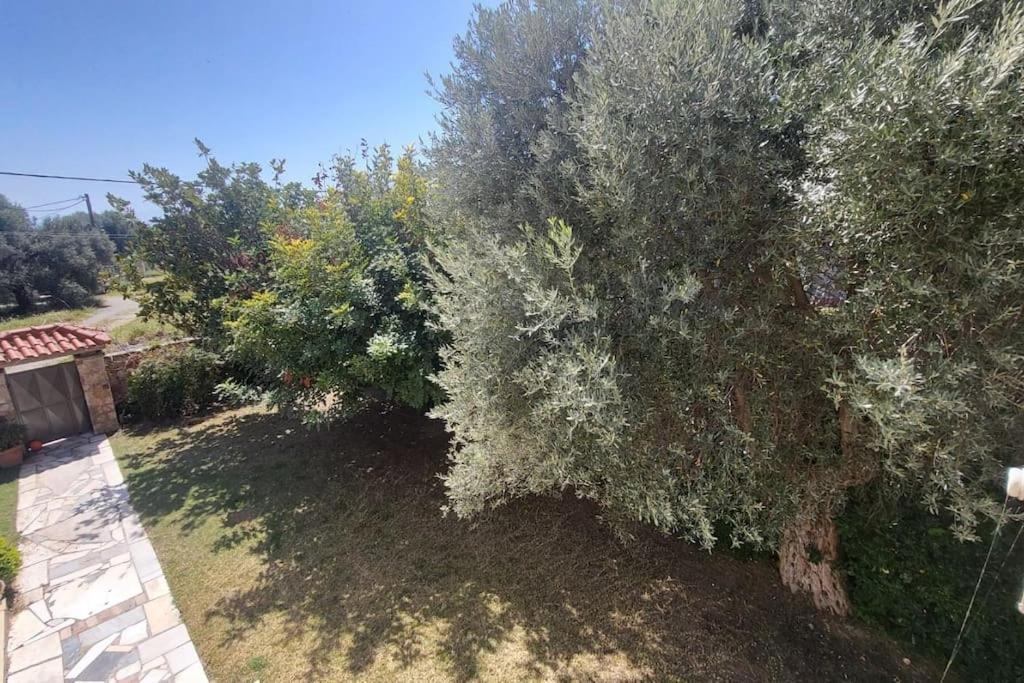 Villa χαρά *