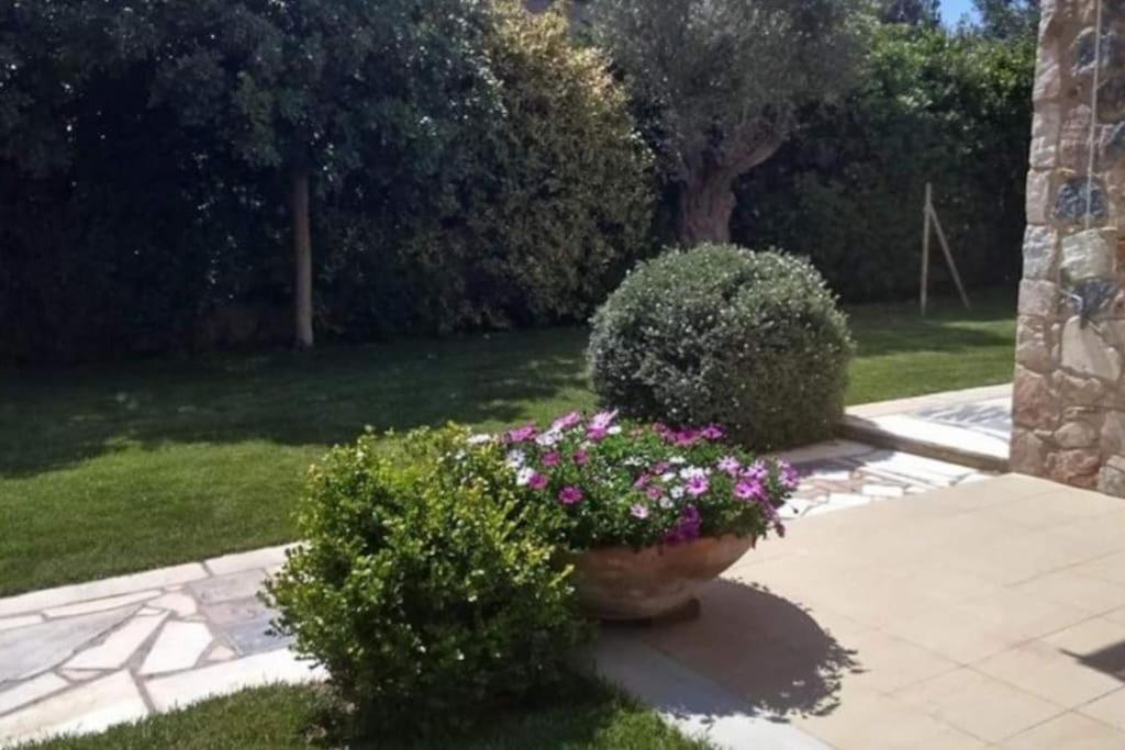 χαρά Erétria